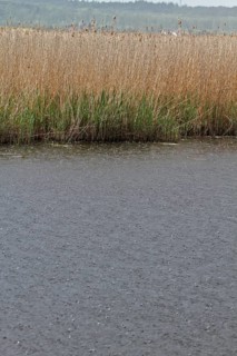 Heavy rain on the Trebel River, severe weather, Peene Valley River Landscape nature park Park,