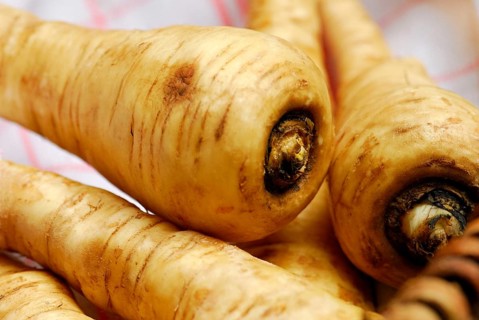 Parsnip, Parsnipsroot