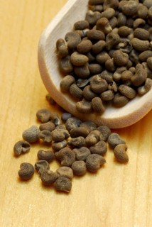 Musk grains (Hibiscus abelmoschus) , incense woods