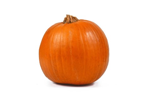 Single Baby Bear Halloween pumpkin isolated on white background
