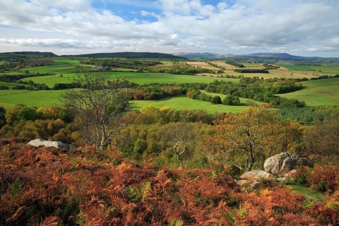 Blick from Corby Crags near Alnwick, Cheviot Hills, Northumberland national park, England, United