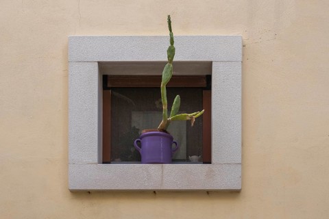 Flower pot with a cactus in a small window, Polignano a Mare, Adriatic Sea, Apulia, Italy, Europe