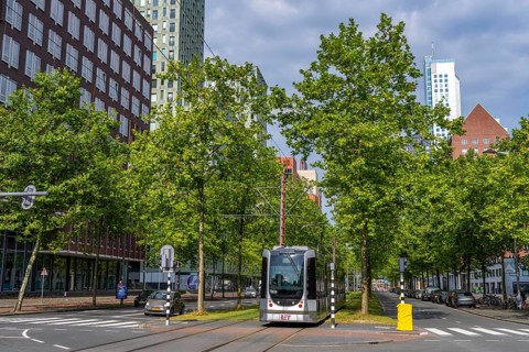 Urban greening, inner-city street Laan op Zuid, in Rotterdam's Feijenoord district, 4 lanes, 2 tram