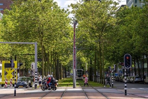 Urban greening, inner-city street Laan op Zuid, in Rotterdam's Feijenoord district, 4 lanes, 2 tram