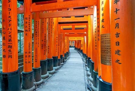 Torii path, Fushimi Inari-Taisha shrine, Kyoto, Japan, Asia