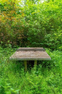 Lost Places, old table tennis table on an abandoned, closed playground, overgrown and surrounded by