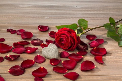 Roses as a gift and surprise for a celebration. Symbol photo for birthday, Mother's Day, love,
