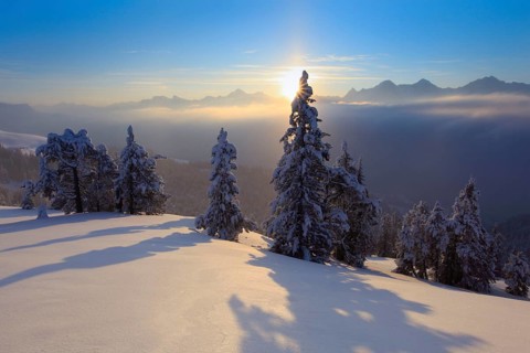Bernese Alps, View from the Niederhorn, Bernese Oberland, Switzerland, Europe