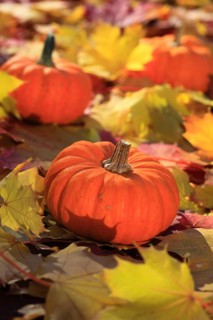 Pumpkin