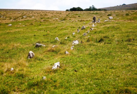 Avenue of standing stones at Merrivale ceremonial complex Dartmoor national park, Devon, England,