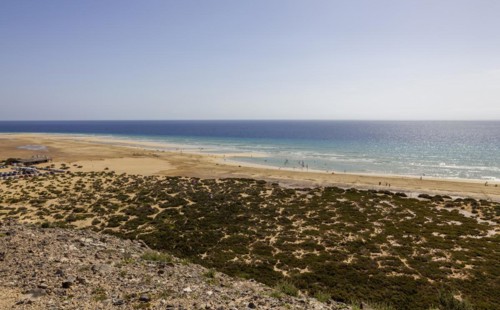 View of the Playa de Sotavento, Jandia, Fuerteventura, Canary Islands, Spain, Europe
