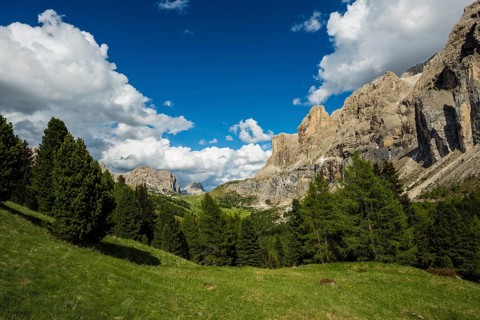 Gardena Pass, Passo Gardena, Puez-Geisler nature park Park, Dolomites, Selva di Val Gardena, South