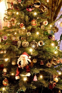 Europe, Germany, Christmas tree, Christmas tree in living room, Christmas, traditional tree
