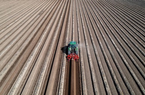 A farmer builds asparagus ridges on a field with the help of an asparagus tiller, in which the