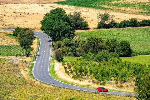 Country road, with car, sunflower field south-east of Nideggen, in the Rureifel, North