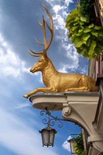 Gold-coloured stag, figure at the Goldener Deer inn, Weinmarkt 6, Dinkelsbühl, Bavaria, Germany,