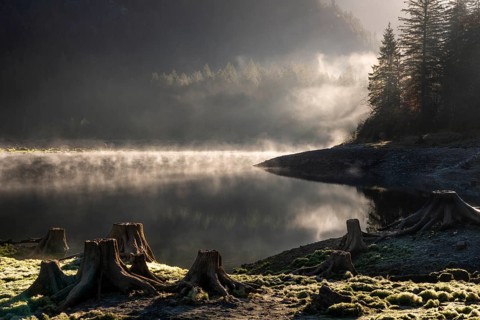 The Vordere Gosausee in autumn. Several tree stumps in the foreground. Fog rises from the lake.