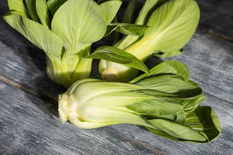 Fresh green bok choy or pac choi chinese cabbage on a gray wooden background. Hard light, contrast.