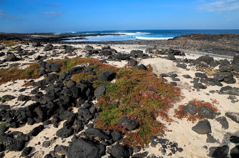 Beach rocks and white sand, near Majanicho on north coast of Fuerteventura, Canary Islands, Spain,