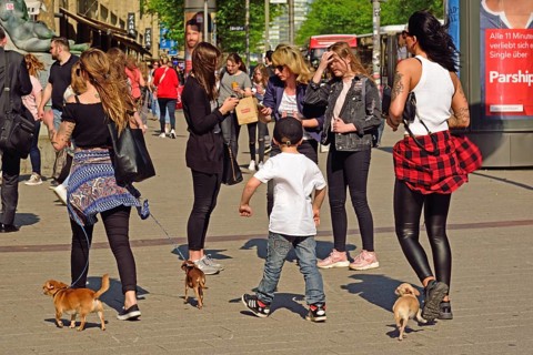 Germany, Hamburg, City, Mönckebergstraße, Two young woman and boy with three small dogs, Hamburg,