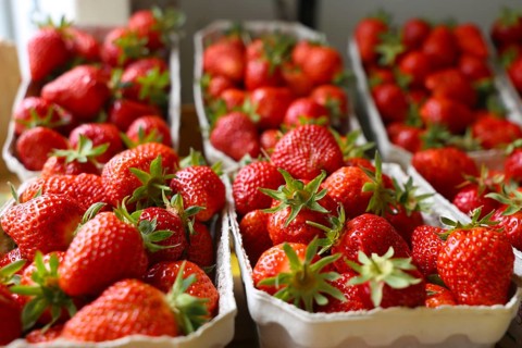 Fresh strawberries in the shop