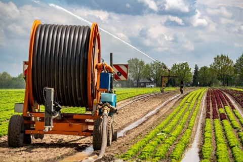 A field is artificially irrigated, water is sprayed onto the field via an irrigation system, field