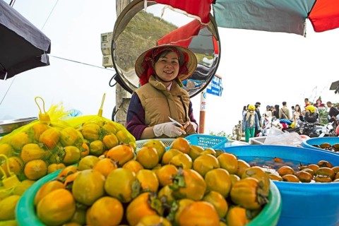 Vietnamese woman peeling khaki fruit at Heavens Gate, Ha Giang province, Vietnam, Asia