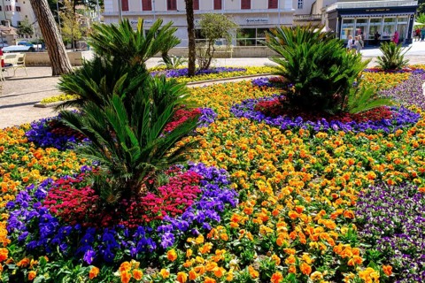 Flower arrangements, flower beds on the Passer promenade, Merano, South Tyrol, Italy, Europe