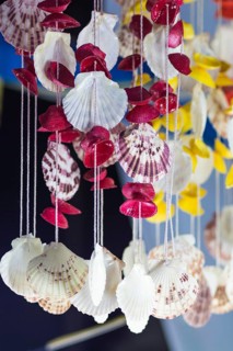 Decoration of colorful shells on the market