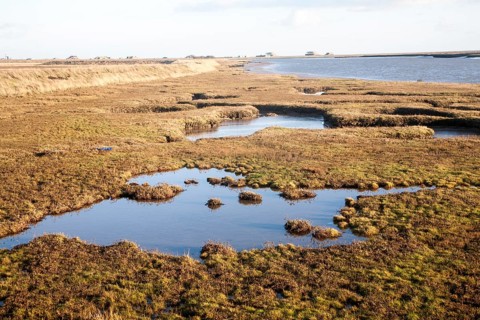 Saltmarsh in tidal creeks of the River Ore looking towards the military structures on Orford Ness,