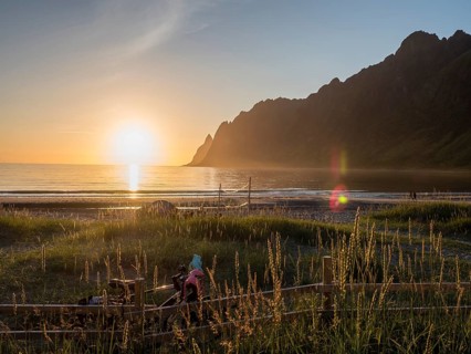 Beach Ersfjordstranden, fjord Ersfjord, public recreation area, sunset, dune grass in backlight,