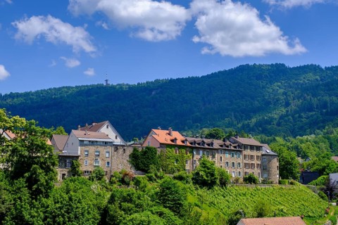 Oberstadt, with Pfänder, Bregenz, Vorarlberg, Austria, Europe