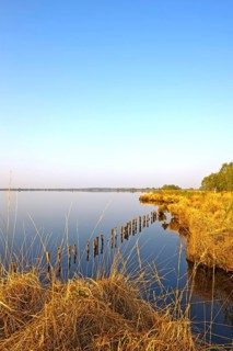 Eternal Sea, nature reserve, East Frisia, Germany, Europe