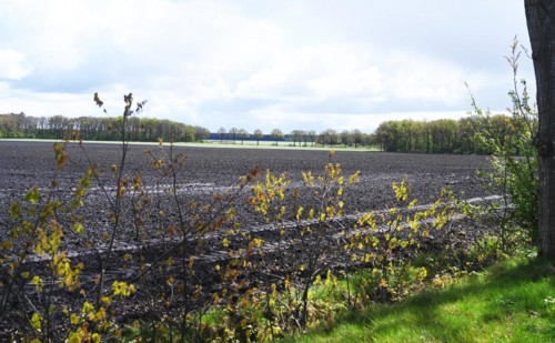 NL, Eesergroen: Spring characterises the landscape, towns and people in the province of Drenthe in