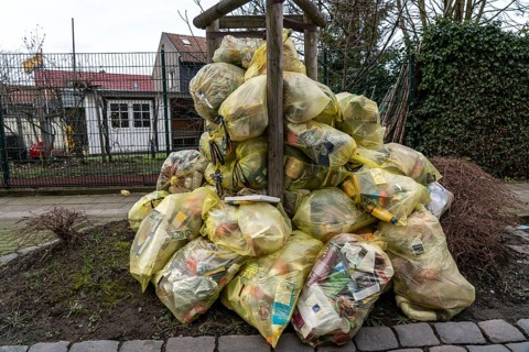 Yellow bags, stacked in a residential street, by a tree, waiting to be collected by a waste