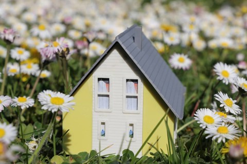 Symbolic image: Model house in a lush meadow with daisies