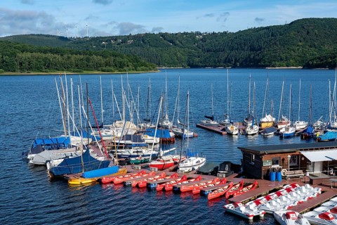 Lake Rursee, reservoir in the Eifel National Park, north-east bank near Heimbach, near the Rur dam