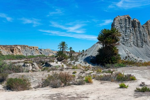 An arid desert landscape with mountains and scattered palm trees under a blue sky, Oasis de