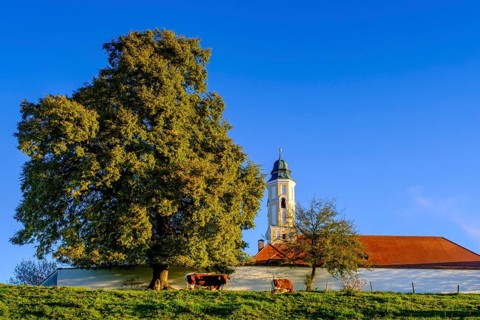 Reutberg Monastery, Sachsenkam, Tölzer Land, Alpine foothills, Upper Bavaria, Bavaria, Germany,