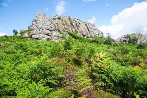 Granite upland landscape Greator Rocks, Dartmoor national park, Devon, England, UK