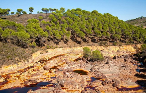 Blood red mineral laden water Rio Tinto river Minas de Riotinto mining area, Huelva province,