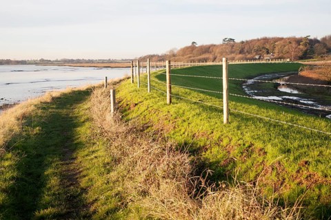 Newly repaired river flood defence wall, River Deben, Ramsholt, Suffolk, England, UK