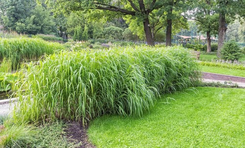 Bernardine Gardens park in the center of Vilnius, Lithuania, Europe