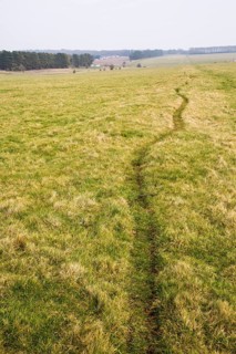 Field view of faint embankment lines 5, 500 years old Stonehenge Cursus, Wiltshire, England, UK