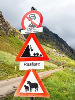 Mountain road from Haukland beach to Uttakleiv, warning signs, no public traffic, be aware of sheep