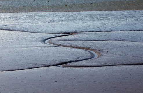 Drainage channels in mudflats at low tide River Deben estuary, Sutton, Suffolk, England, UK