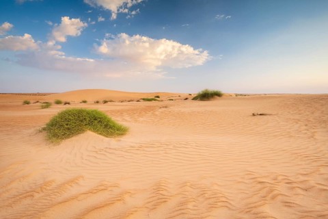 Sand dunes, Wahiba Sands desert, Sharqiya sand, Oman, Asia