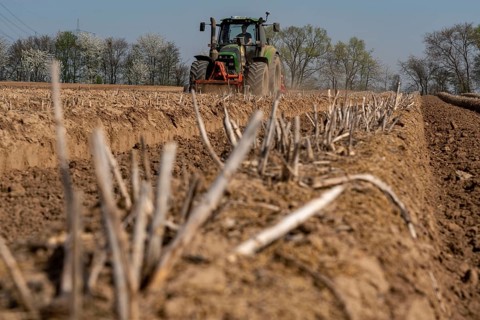 A farmer builds asparagus ridges on a field with the help of an asparagus tiller, in which the