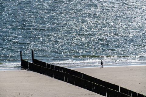 Strollers on the beach near Zoutelande, breakwater, province of Zeeland, Walcheren peninsula,