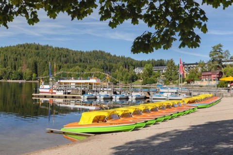 Titisee, Black Forest, Baden-Württemberg, Germany, Titisee, Baden-Württemberg, Germany, Europe